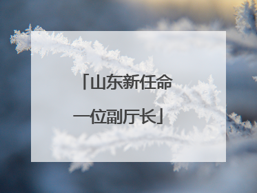 山东新任命一位副厅长